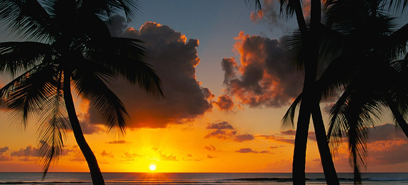 在线短信轰炸机网页版